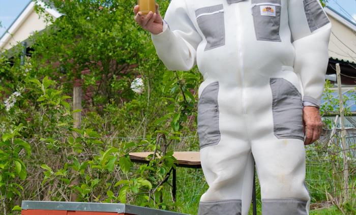 Pontyclerc Honey - Bee Hives